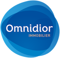 OMNIDIOR Logo